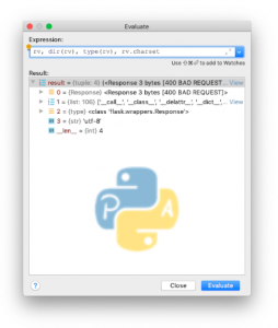 Python Code Evaluation Pycharm